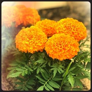 Meet your Posher, Heath